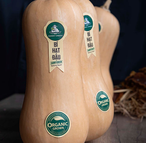 bi hat dau danngreen art