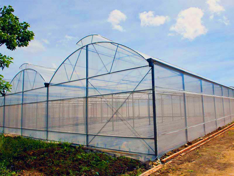 nhà kính trồng raunhà kính trồng hoavật tư nhà kínhmàng phủ nhà kínhmàng  phủ nhà kínhmàng nhà kính nông nghiệpmàn PE nhà kính màng nhà kính  Israel màng nhà kính giá rẻ