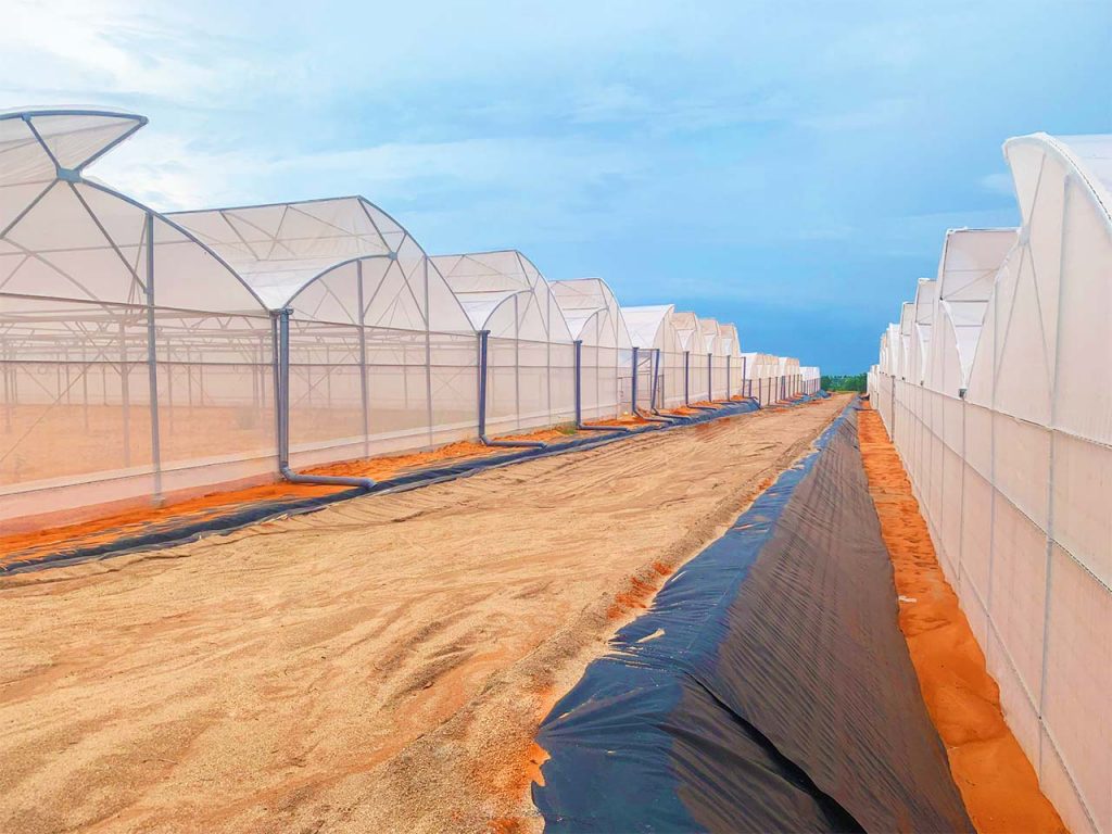 Nhà kính công nghệ cao