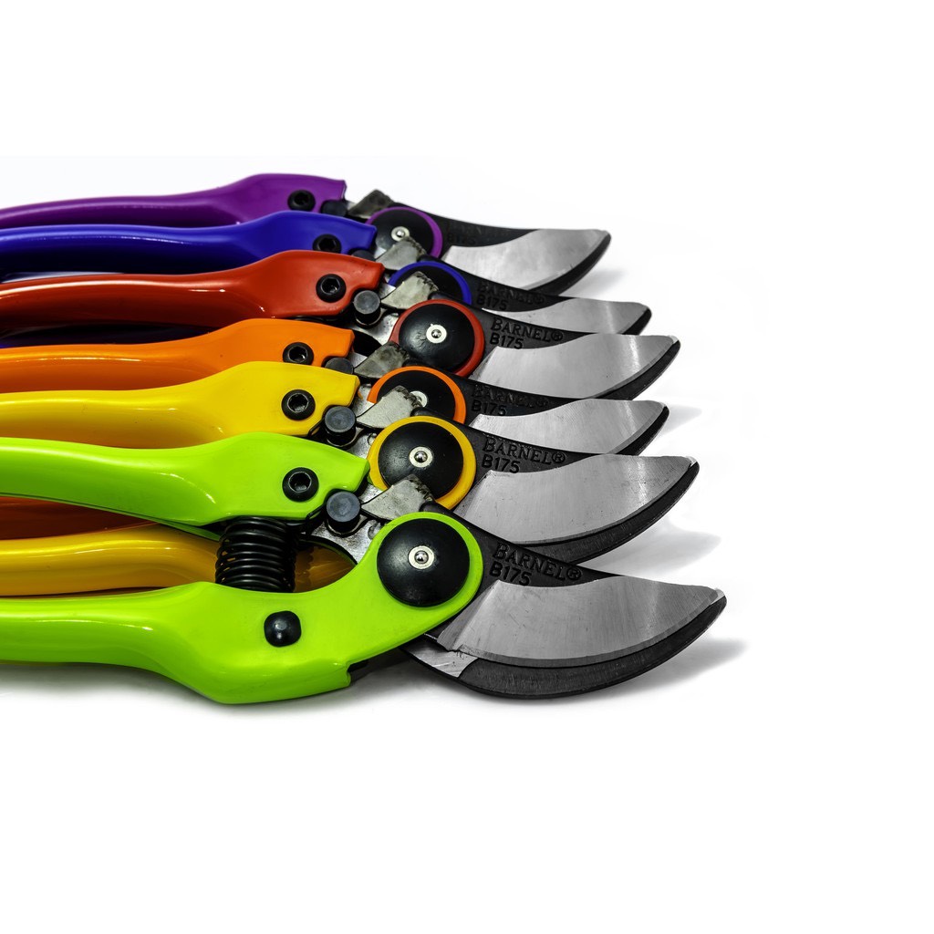 kéo cắt tỉa B175