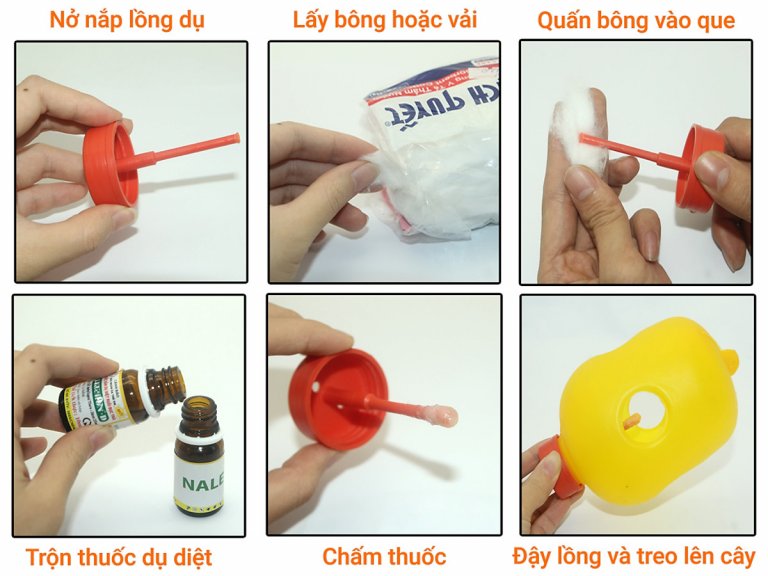 bẫy ruồi vàng