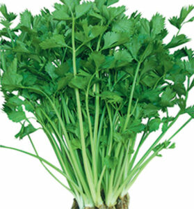 rau cần