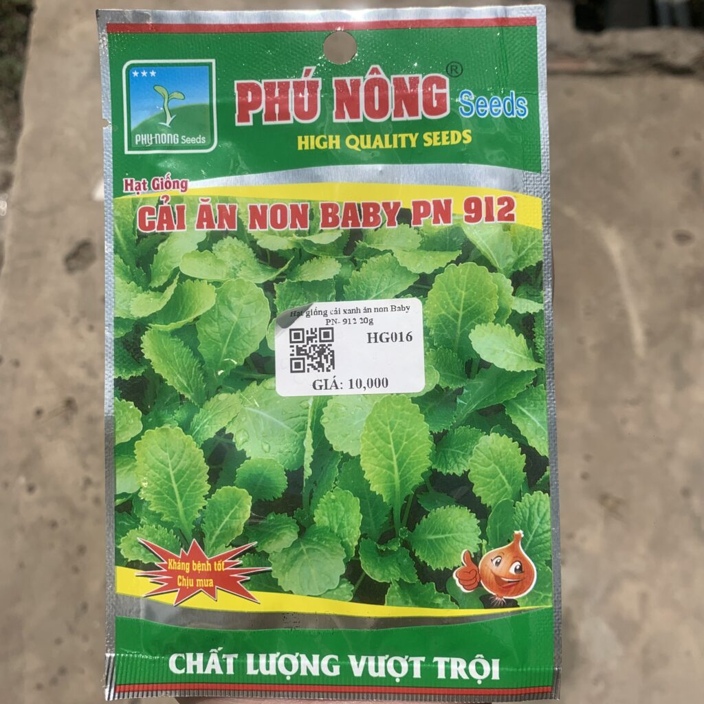 hạt giống cải ăn non