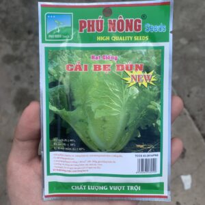 Hạt giống cải bẹ dún 20g