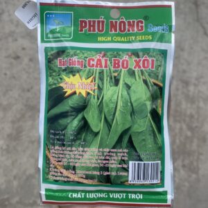 hạt giống cải bó xôi chịu nhiệt