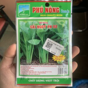 Hạt giống cải ngọt PN 02