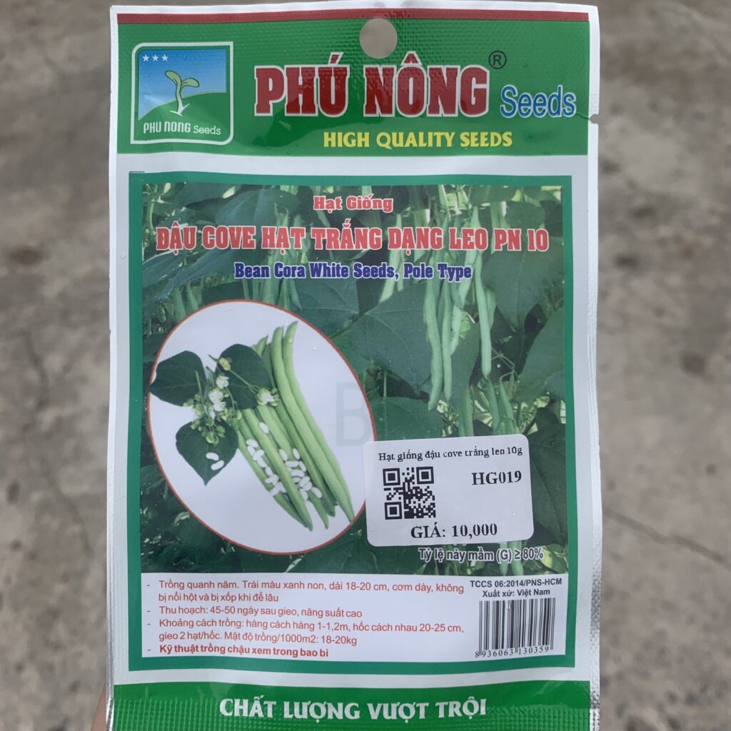 hạt giống đậu cove trắng leo pn 10