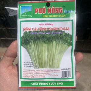 hạt giống mầm bông cải xanh broccoli sprouts