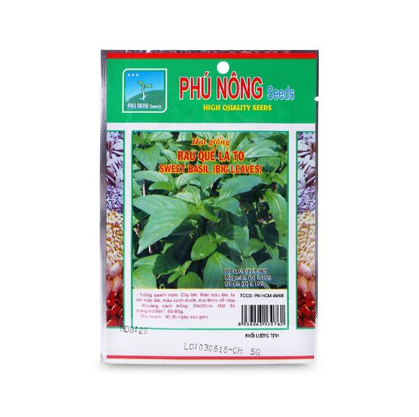 hạt giống rau quế