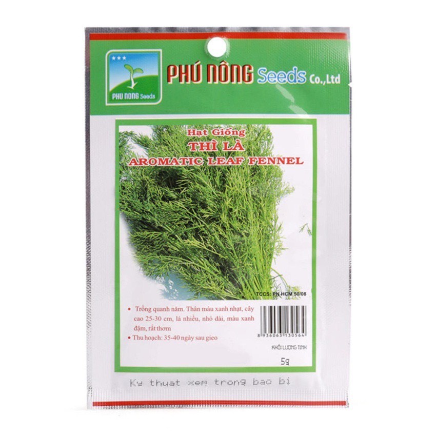 hạt giống thì là