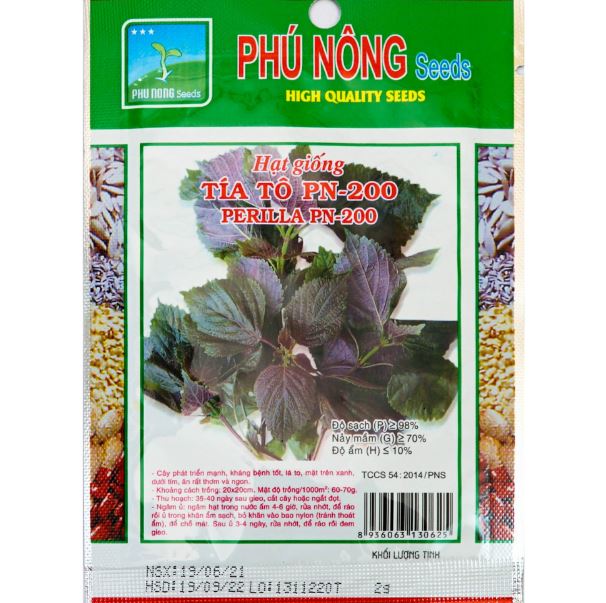 hạt giống tía tô