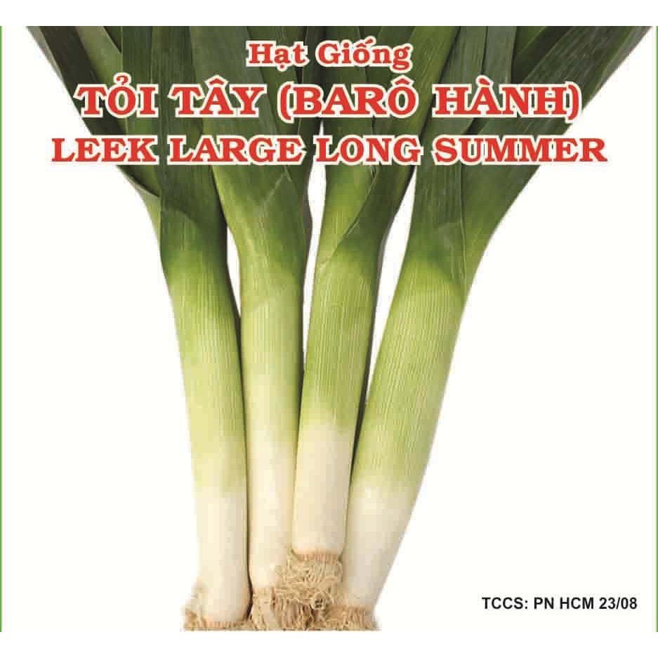 hạt giống tỏi tây