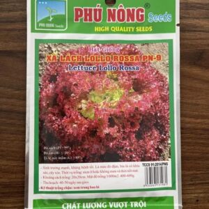 Hạt giống xà lách Lollo Rossa PN-9