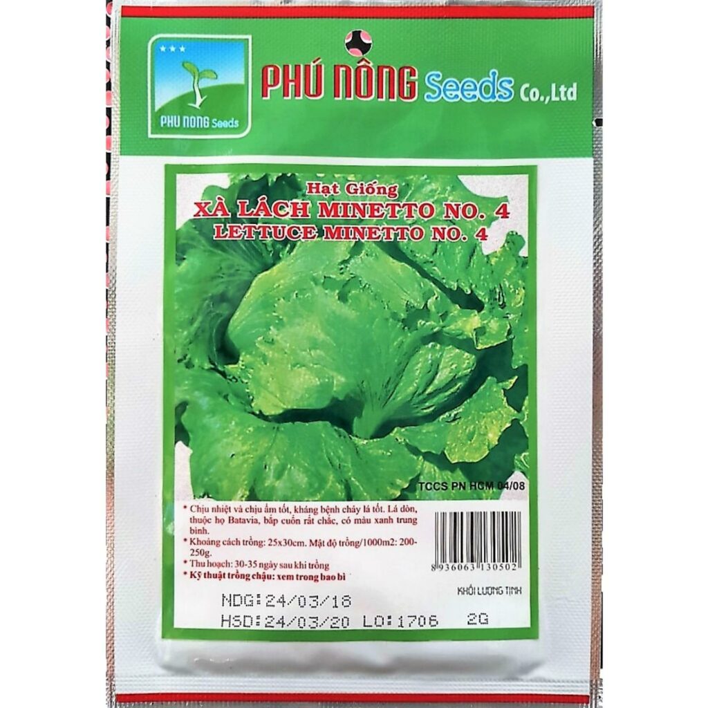 hạt giống xà lách minetto no. 4