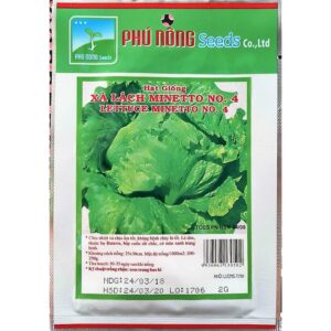 hạt giống xà lách minetto no. 4