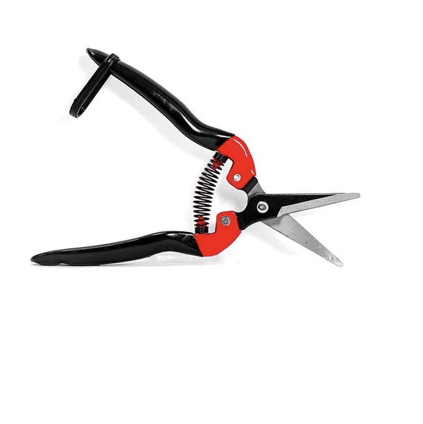 kéo cắt trái cây V3000
