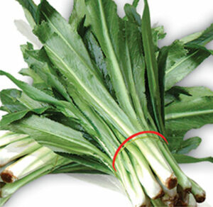 ngò