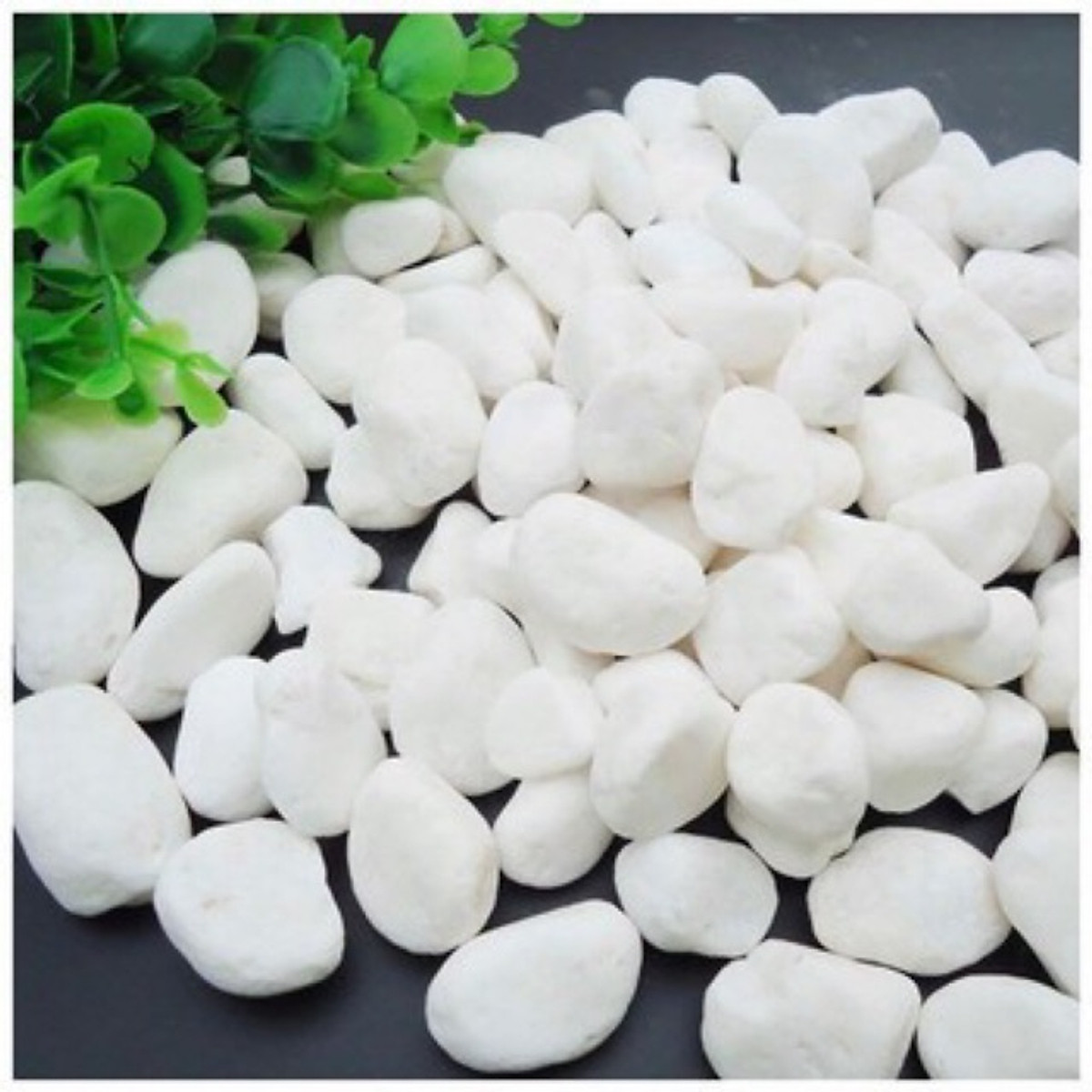 sỏi trắng trang trí