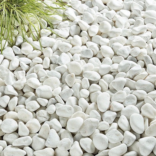 sỏi trắng trang trí