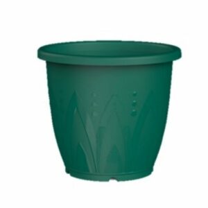 chậu tròn cao TLP xanh lá