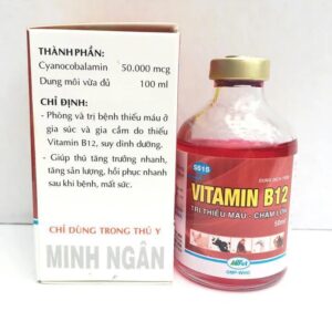 vitamin b12