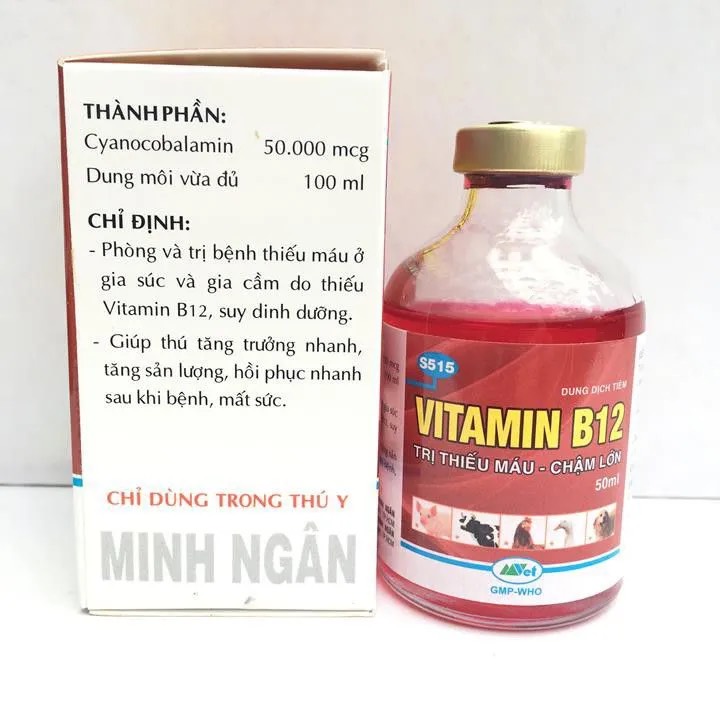 vitamin b12