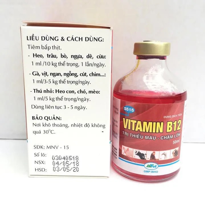 vitamin b12