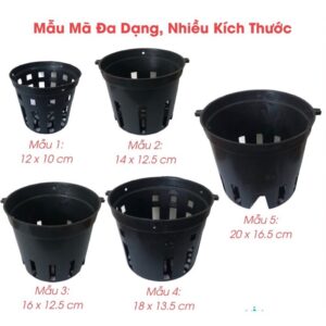 chậu lan nhựa đen