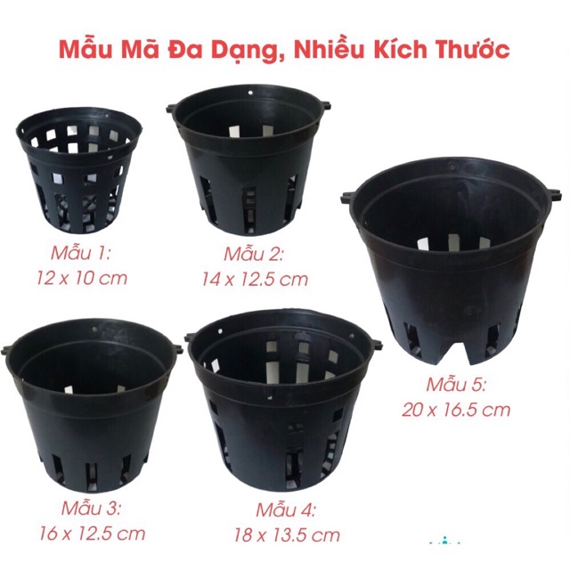 chậu lan nhựa đen