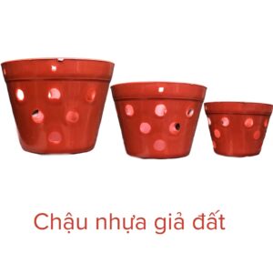 chậu nhựa giả đất nung trồng lan
