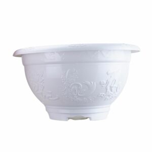 chậu nhựa truyền thống