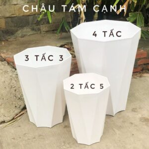 chậu nhựa kim cương