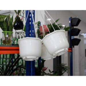 chậu treo chậu cát tường trơn