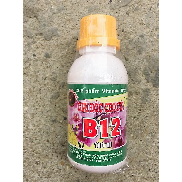 chế phẩm vitamin b12