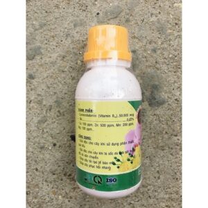 chế phẩm vitamin b12