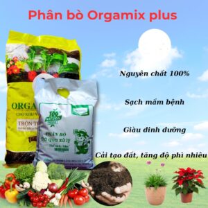phân bò đã qua xử lý Orgamix plus
