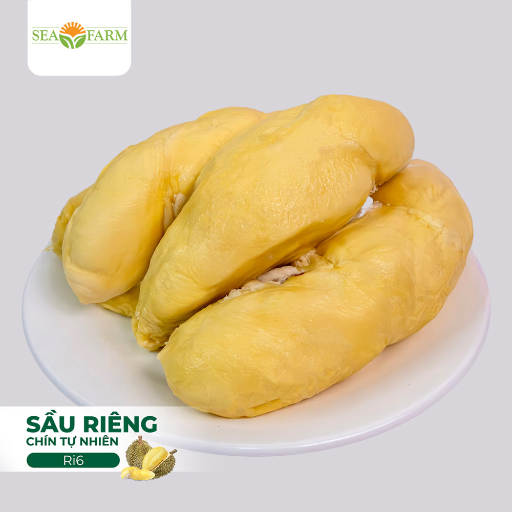 Sầu Riêng Sạch RI6 - Ảnh 2